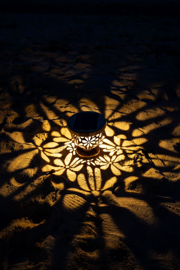 Women's Lantern