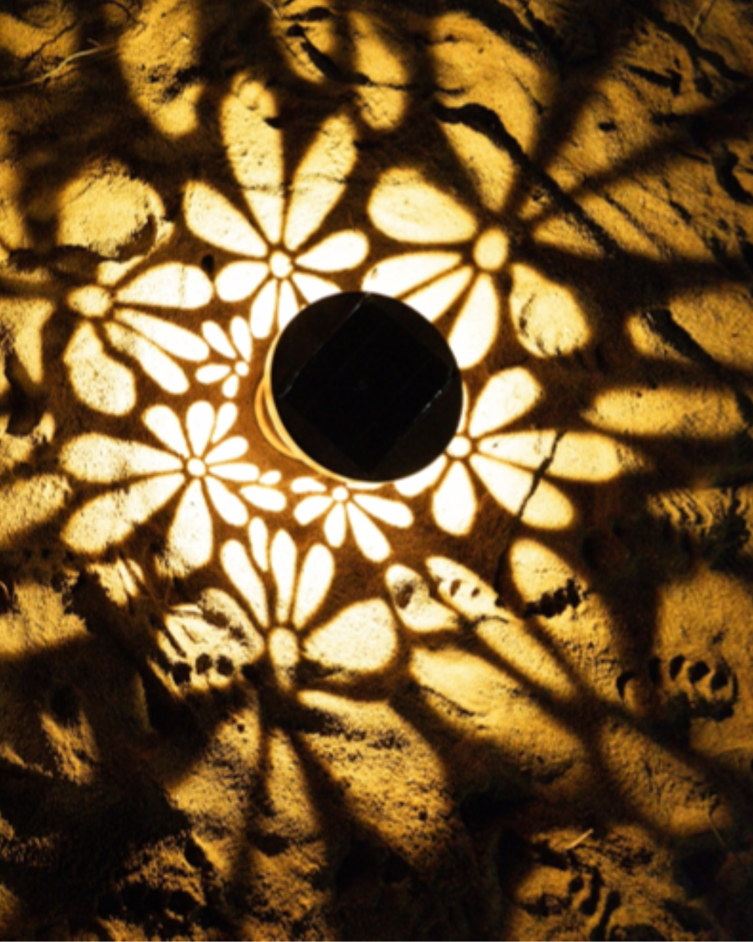 Eco-Glow Solar Flowers