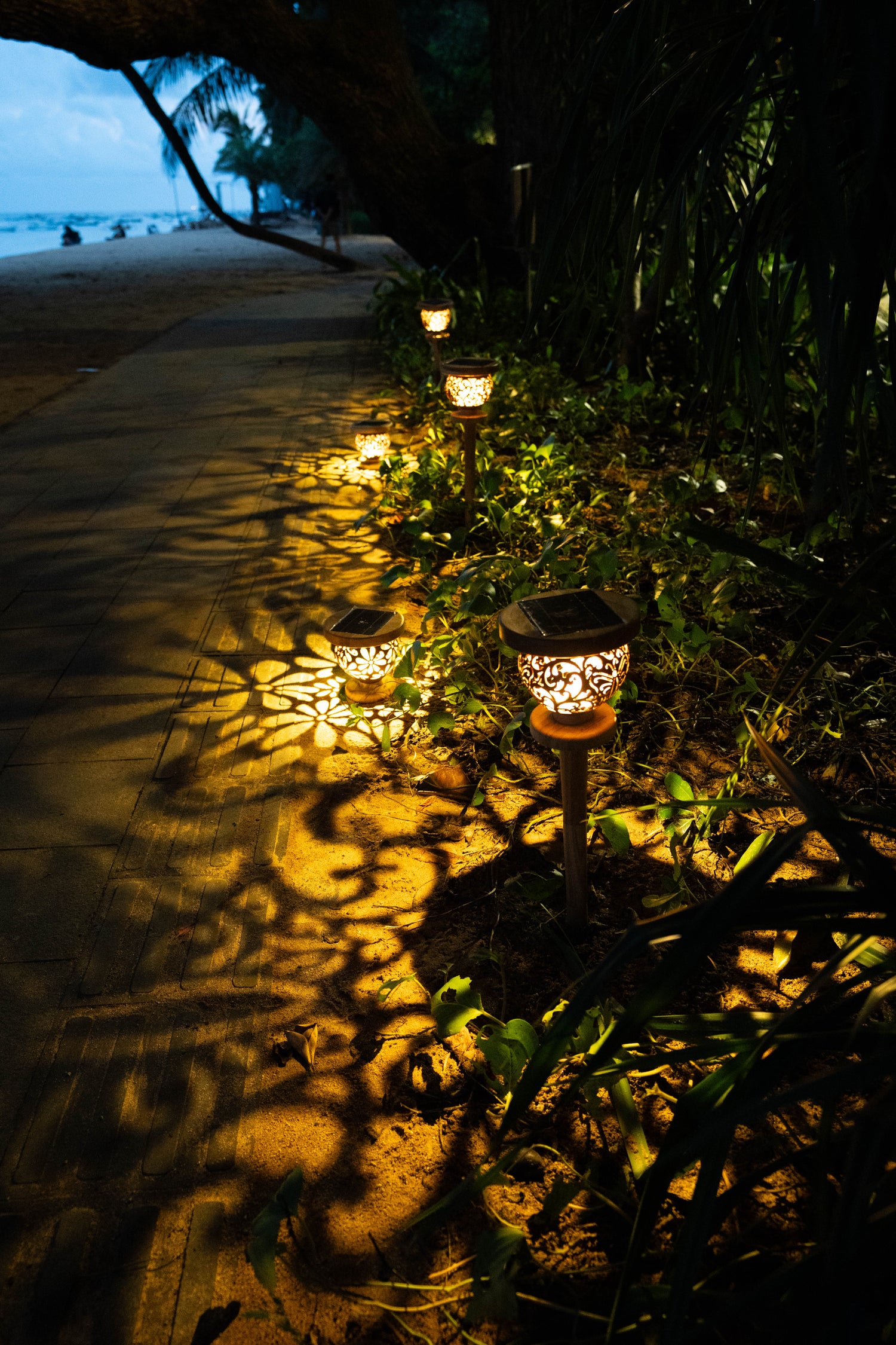 Women's Lantern